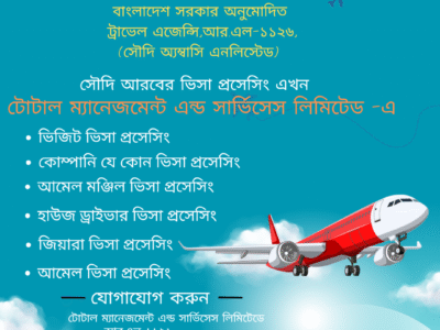 Blue and Orange Modern Business Visas Work Permits Instagram Post (6)